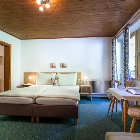 Gaestehaus Erler 2* Tux
